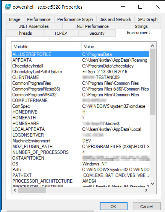 Process Explorer showing environmental variables